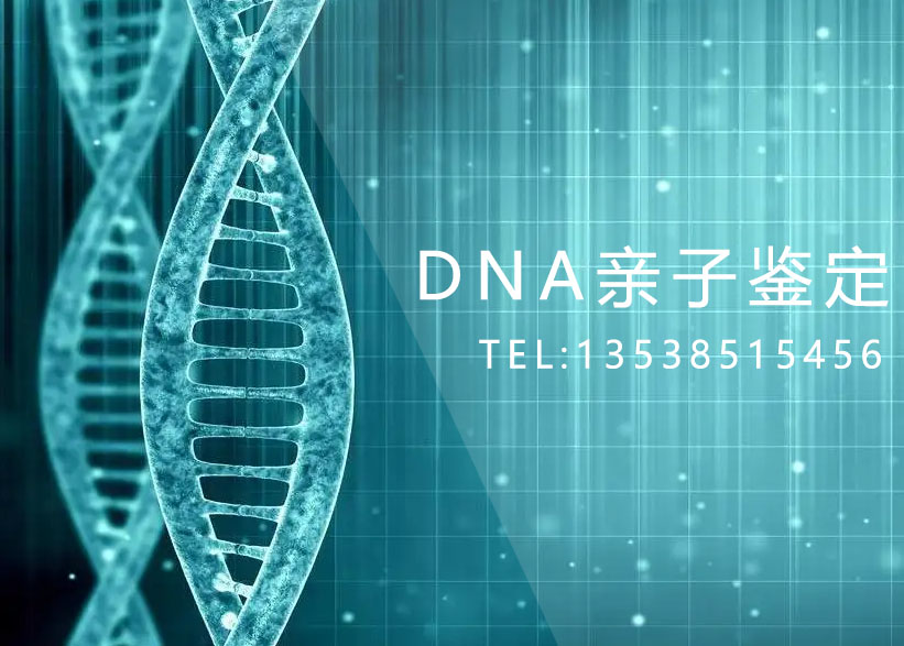 佛山个人DNA鉴定到哪里去做？