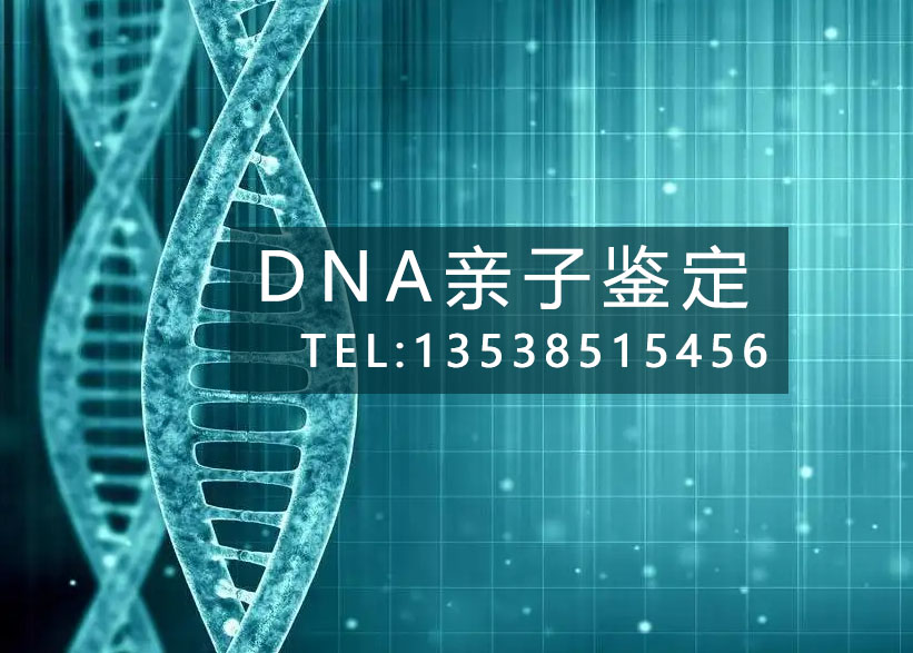 佛山亲子鉴定中心