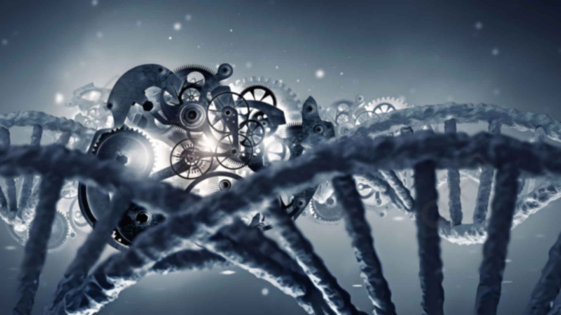 南海无创DNA亲子价格标准是多少